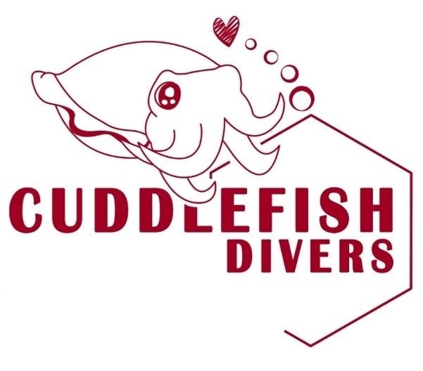 cuddlefish divers llp