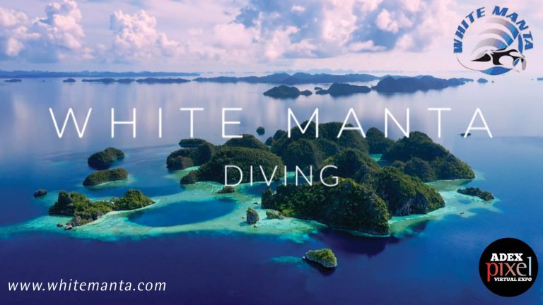 White Manta