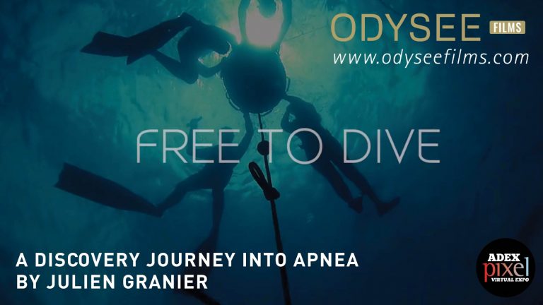 Free to Dive – A Discovery Journey Into Apnea by Julien Granier