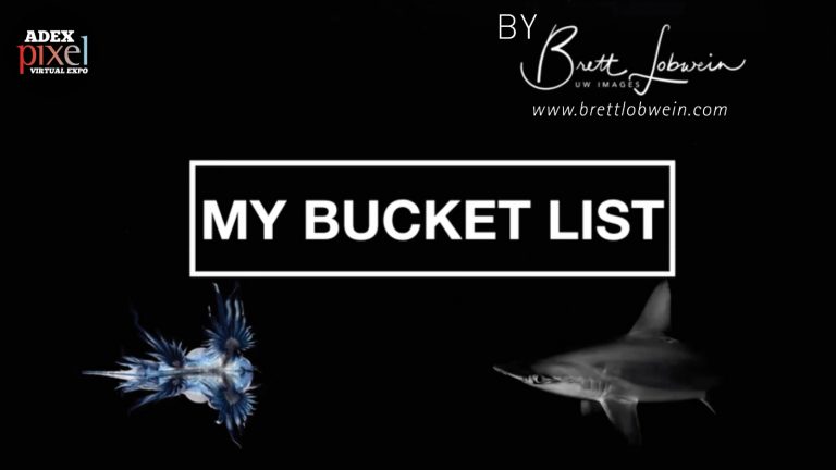 Bucket Lists by Brett Lobwein