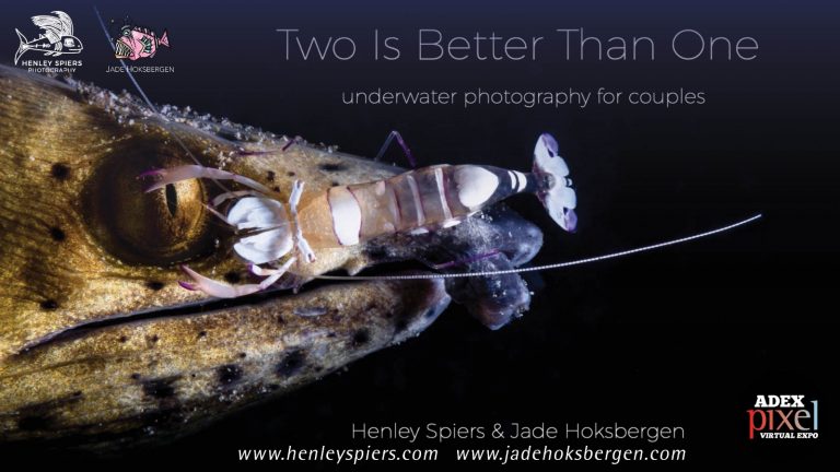 Two is Better Than One – Underwater Photography for Couples ADEX Pixel