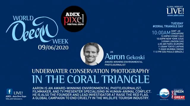 Underwater Conservation Photography in the Coral Triangle