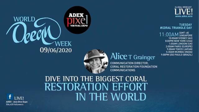 Dive into the biggest coral restoration effort in the world by Alice T Grainger