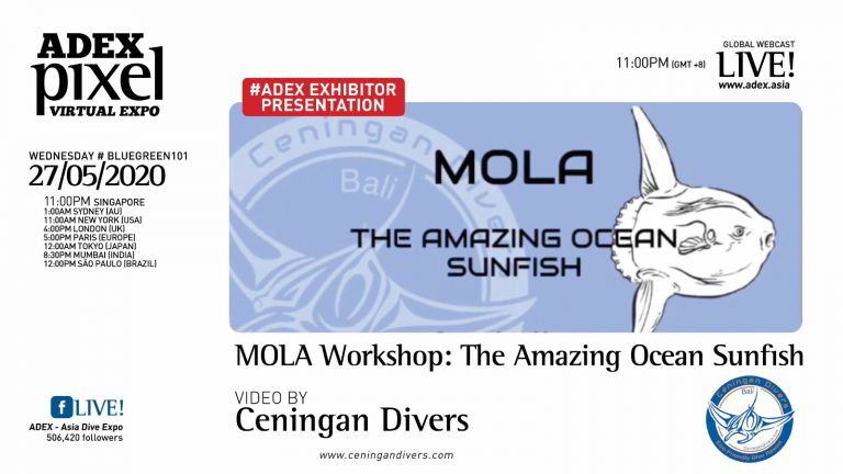 Exhibitor Presentation: MOLA Workshop – The Amazing Ocean Sunfish by Ceningan Divers