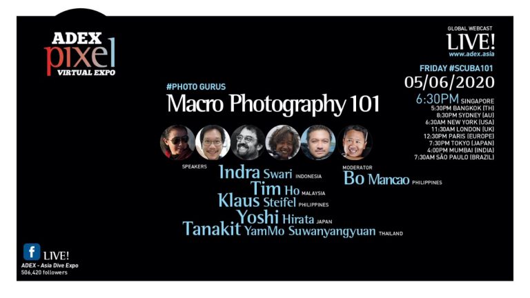 Photo Gurus: Macro Photography 101