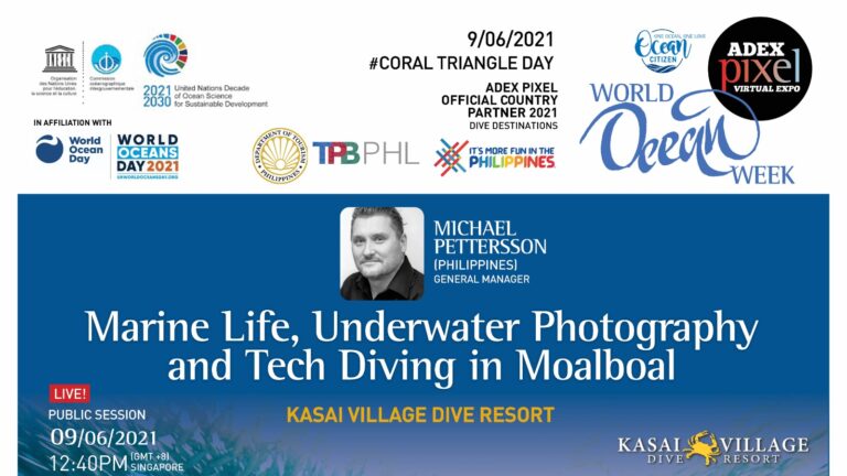#WOW WORLD OCEAN DAY 2021 Let’s create waves of ocean awareness! We are after all Ocean Citizens.  Marine Life, Underwater Photography and Tech Diving in Moalboal