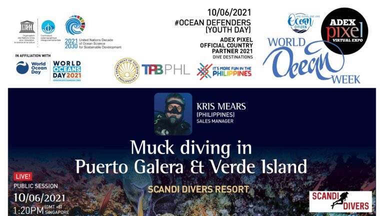 #WOW WORLD OCEAN DAY 2021 Let’s create waves of ocean awareness! We are after all Ocean Citizens.  Muck diving in Puerto Galera & Verde Island