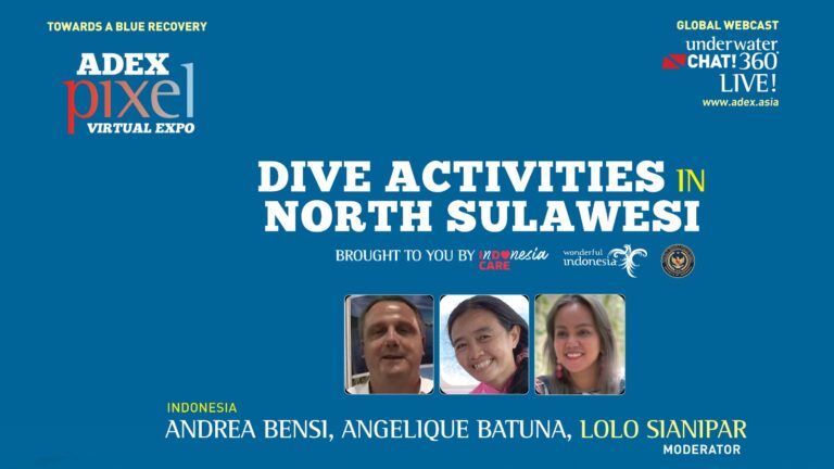 Dive Activities in North Sulawesi