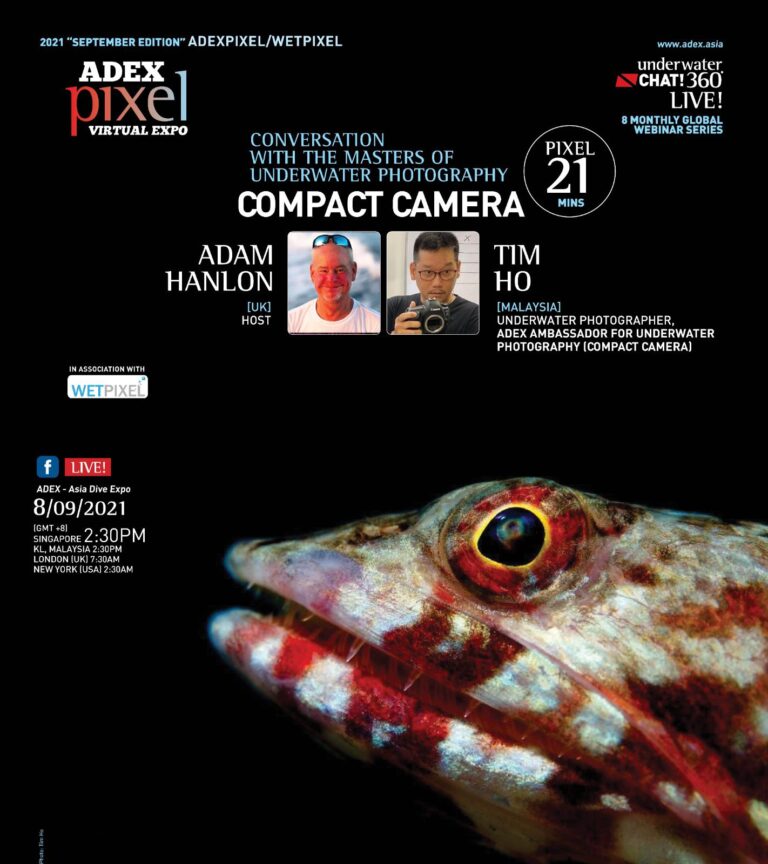 ADEX Ambassador for Underwater Photography (Compact Camera): Tim Ho