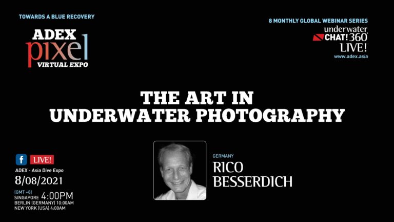The Art in Underwater Photography