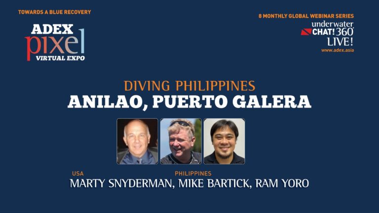 Diving Philippines – Anilao & Puerto Galera