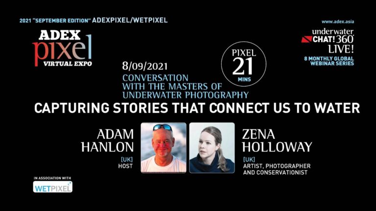 #PIXEL101 Conversation with the Masters of Underwater Photography Capturing Stories that Connect Us to Water