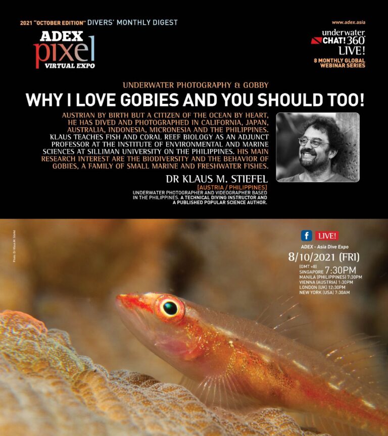Underwater Photography ft. Gobby with Dr Klaus M. Stiefel: Why I Love Gobies And You Should Too!