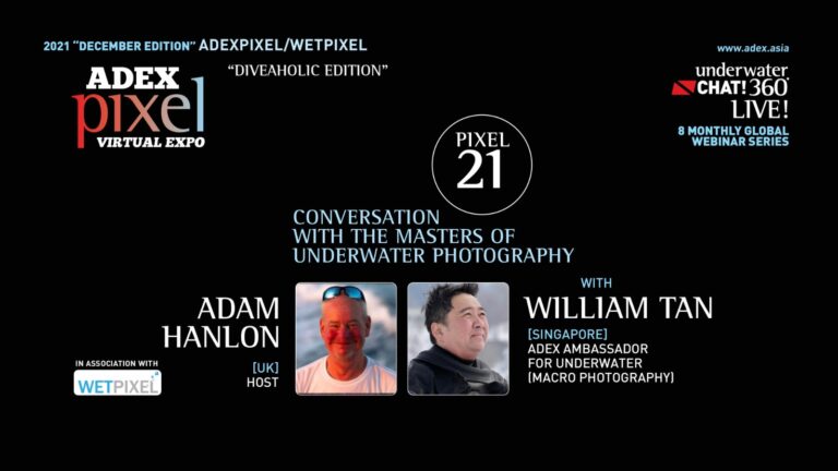Conversation with the Masters of Underwater Photography with William Tan