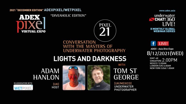 Lights & Darkness with Tom St Georges