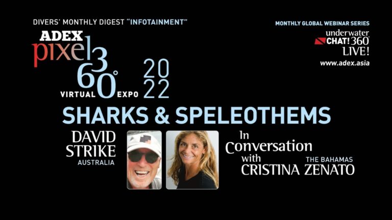 In-Conversation with David Strike: Sharks & Speleothems with Christina Zenato