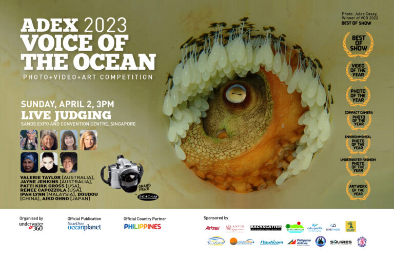 Voice Of The Ocean Competition Winners 2023