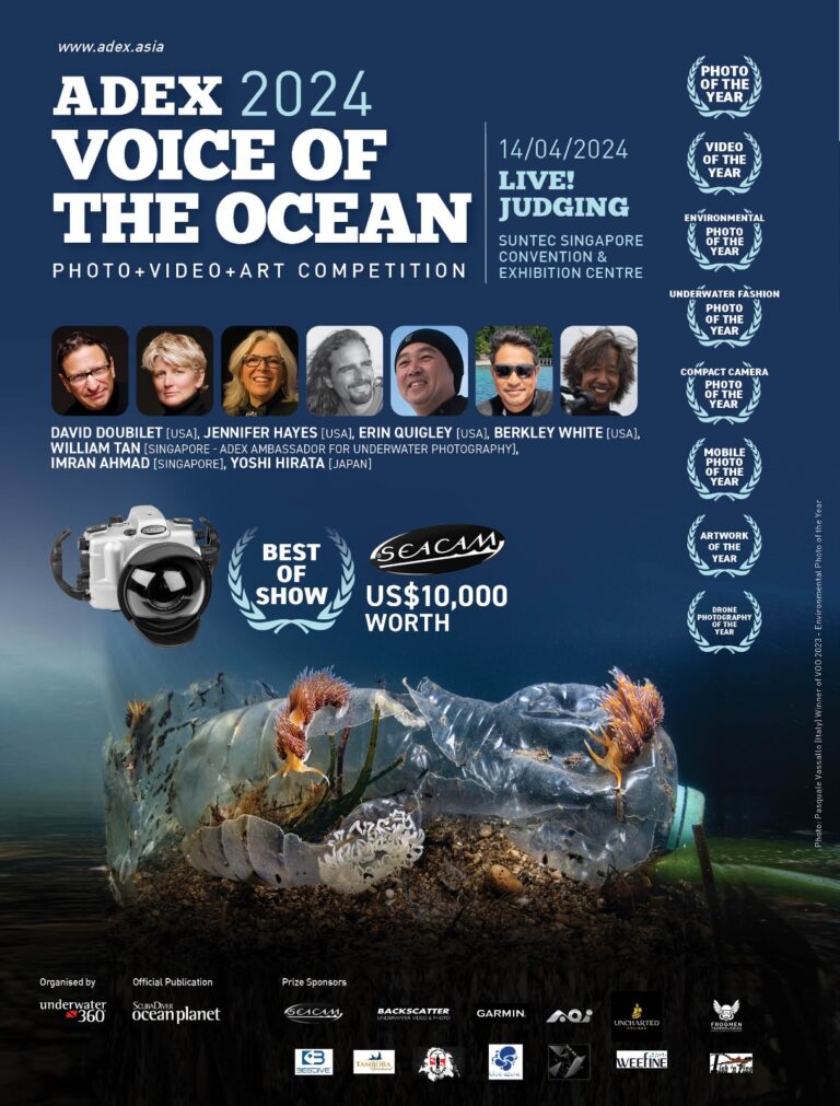 Voice Of The Ocean Competition Winners 2024