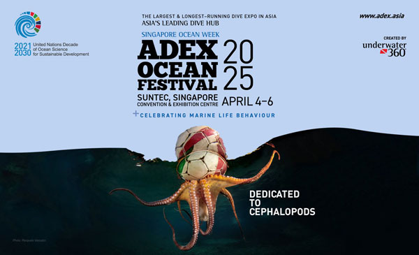 ADEX OCEAN FESTIVAL 2025